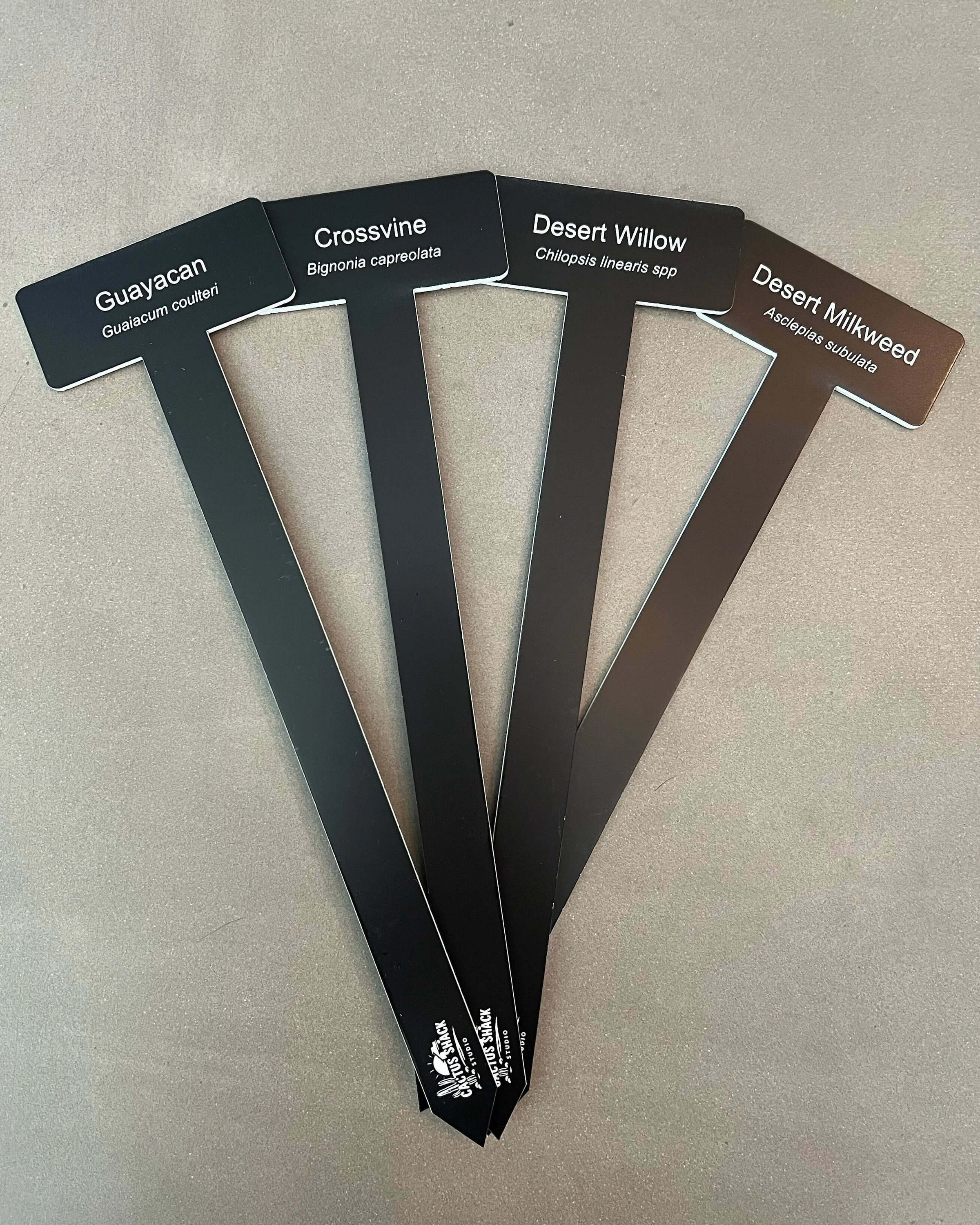 Four custom engraved black acrylic plant markers fanned out showing botanical name format | Cactus Shack Studio