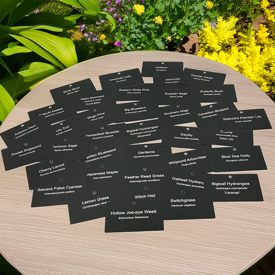 Custom engraved aluminum plant tags for succulents and cactus – personalized garden markers | Cactus Shack Studio