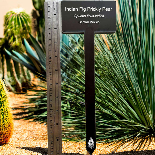 Large Acrylic Plant Garden Tag & Stake | 3-Line Custom Garden Marker | Personalized Garden Marker, Gift and Inspirational Messages