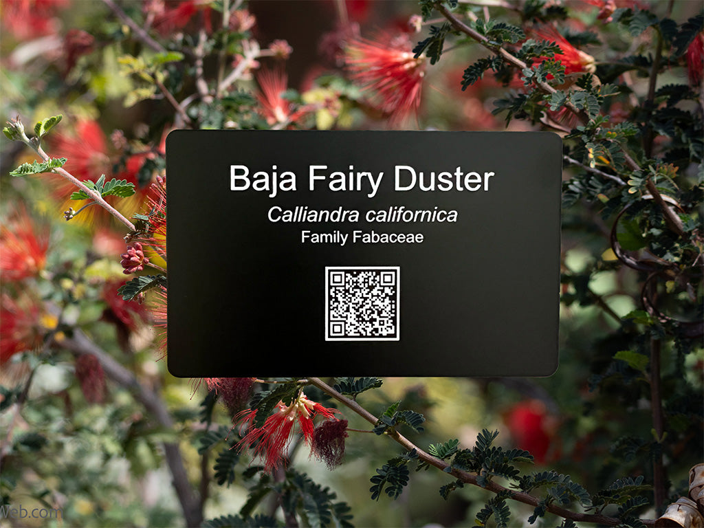 Custom Engraved Garden Plant Tag w/ QR Code