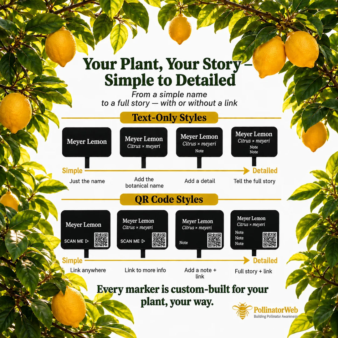 Engraved marker layouts for citrus, from common name to botanical name, rootstock and planting year