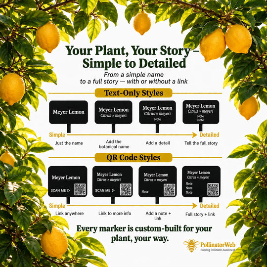 Engraved marker layouts for citrus, from common name to botanical name, rootstock and planting year