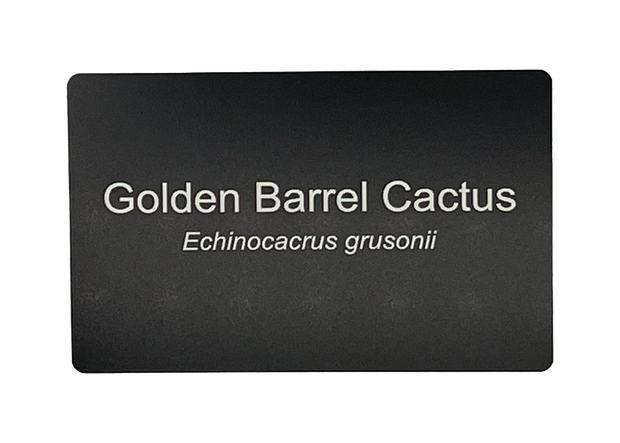 Custom Engraved Garden Plant Tag