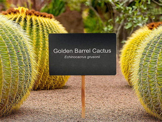 Aluminum Plant Garden Tag | Business Card Size | Garden Marker for Plant Names, Garden Notes & Gifts