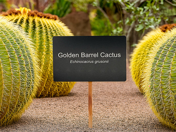 Custom Engraved Garden Plant Tag
