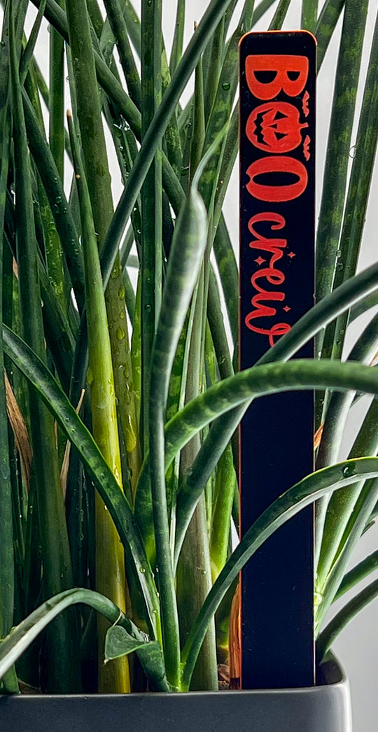 Neon orange Halloween acrylic plant stakes styled with indoor potted plants | Cactus Shack Studio