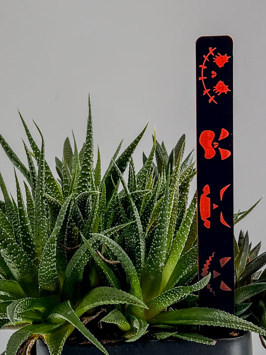 Halloween plant stakes in neon orange acrylic – close-up of engraved design | Cactus Shack Studio