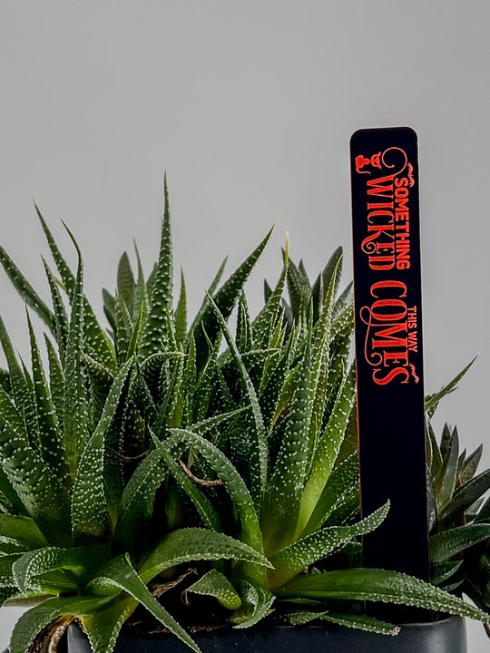 Halloween neon orange acrylic tags displayed with indoor plant décor | Cactus Shack Studio