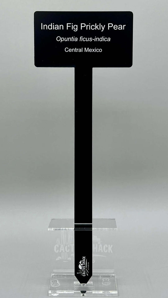 Large Acrylic Plant Garden Tag & Stake | 3-Line Custom Garden Marker | Personalized Garden Marker, Gift and Inspirational Messages