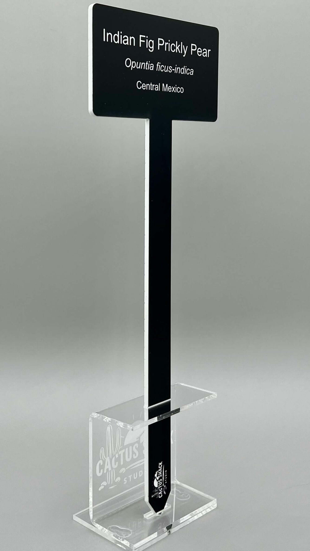 Engraved black acrylic plant stake with white lettering standing in a planted garden | Cactus Shack Studio