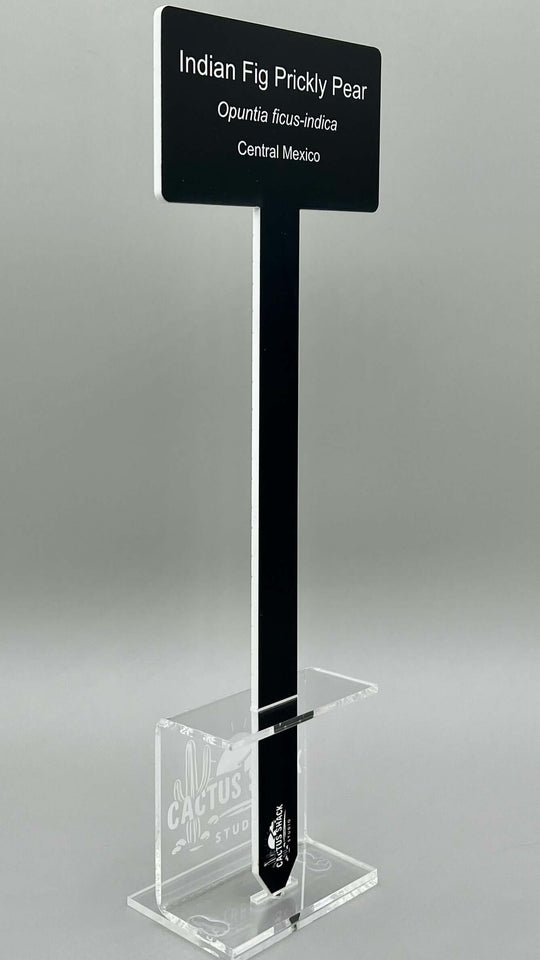 Large Acrylic Plant Garden Tag & Stake | 3-Line Custom Garden Marker | Personalized Garden Marker, Gift and Inspirational Messages