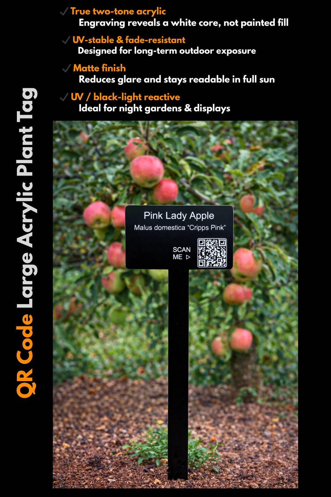 Large acrylic plant stake with engraved QR code