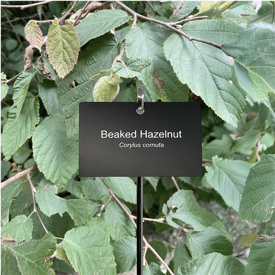 Aluminum Plant Garden Tag | Business Card Size | Garden Marker for Plant Names, Garden Notes & Gifts