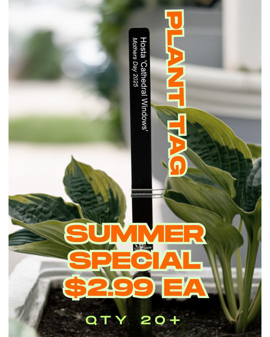 Engraved Acrylic Plant Garden Stake | Personalized Garden Marker for Potted Plants, Seedlings & Farmers Markets